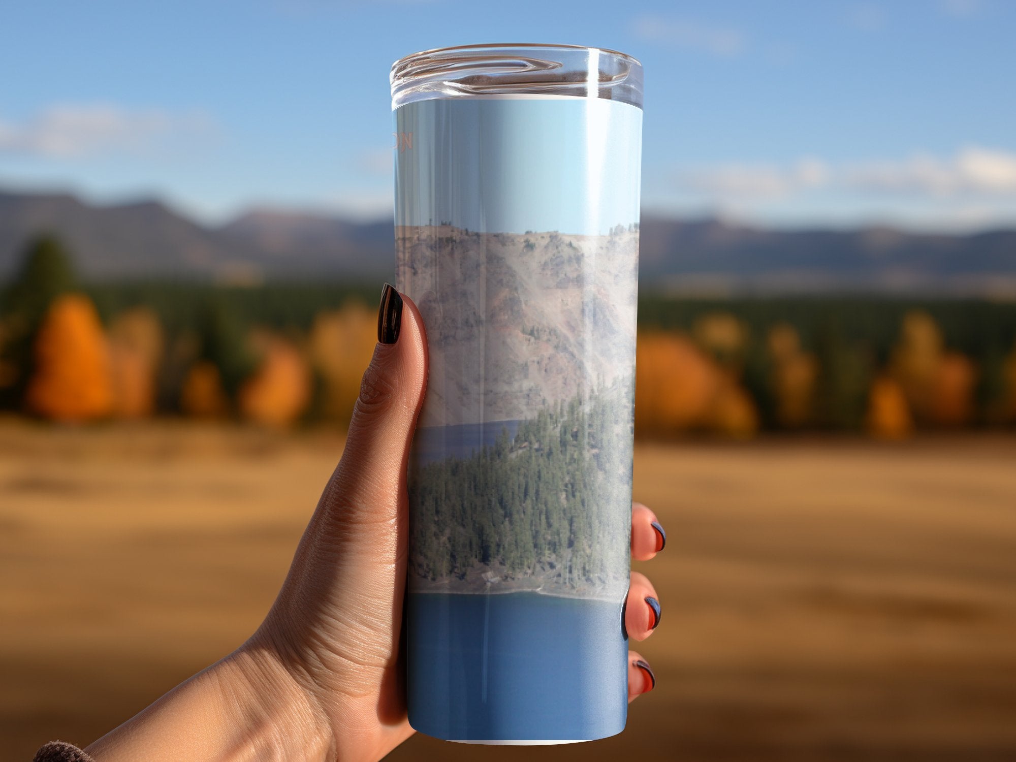 22480b04-da71-49c9-92a0-a9c26f6f5411