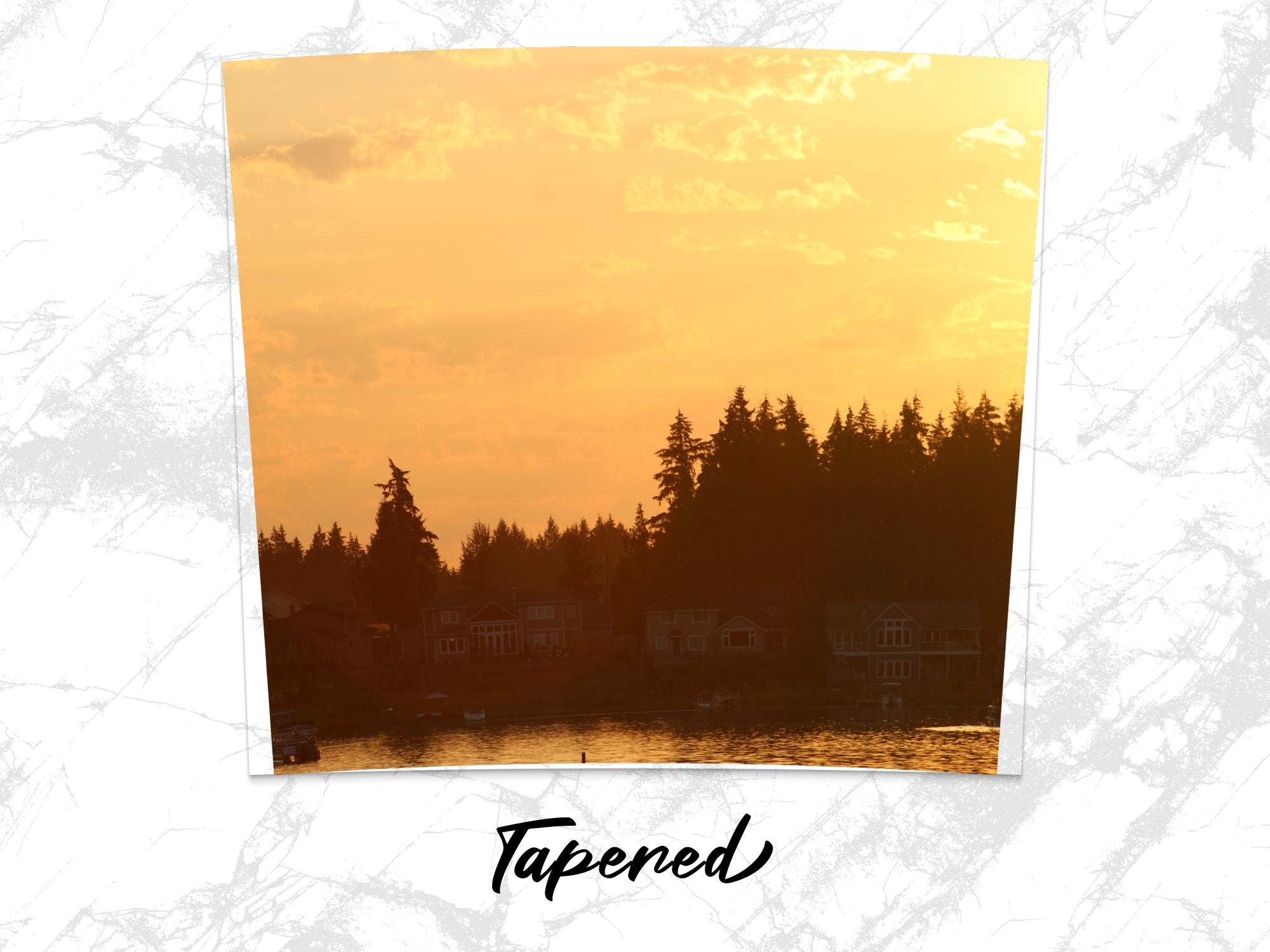 228ba2cf-ff71-4ad5-932b-ce3f3cd68fb5