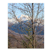 22a4a269-2db3-4cb1-9b65-2a5f7f339847