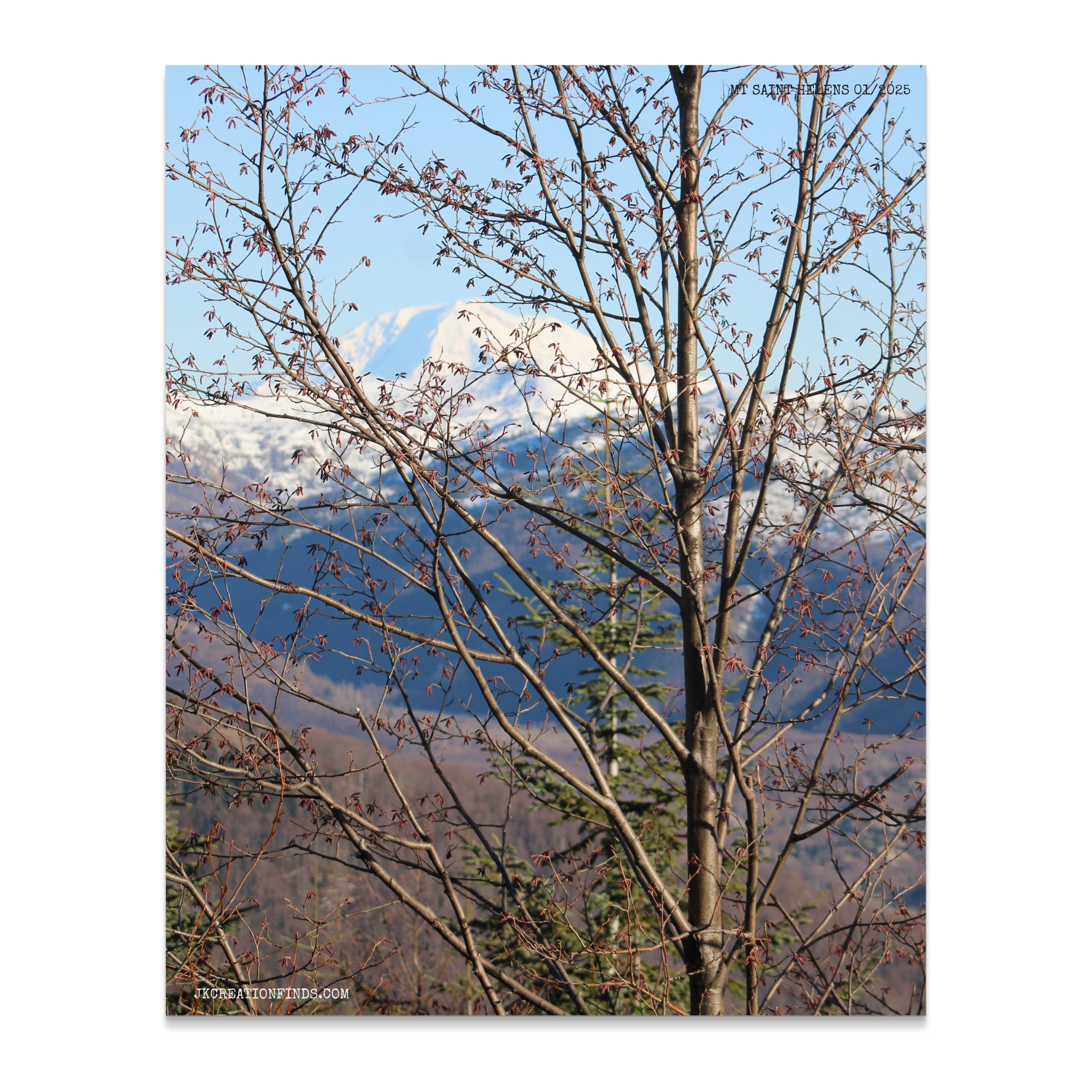 22a4a269-2db3-4cb1-9b65-2a5f7f339847