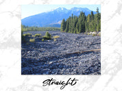 23562d12-8685-41e2-b288-f5a633ddfa41