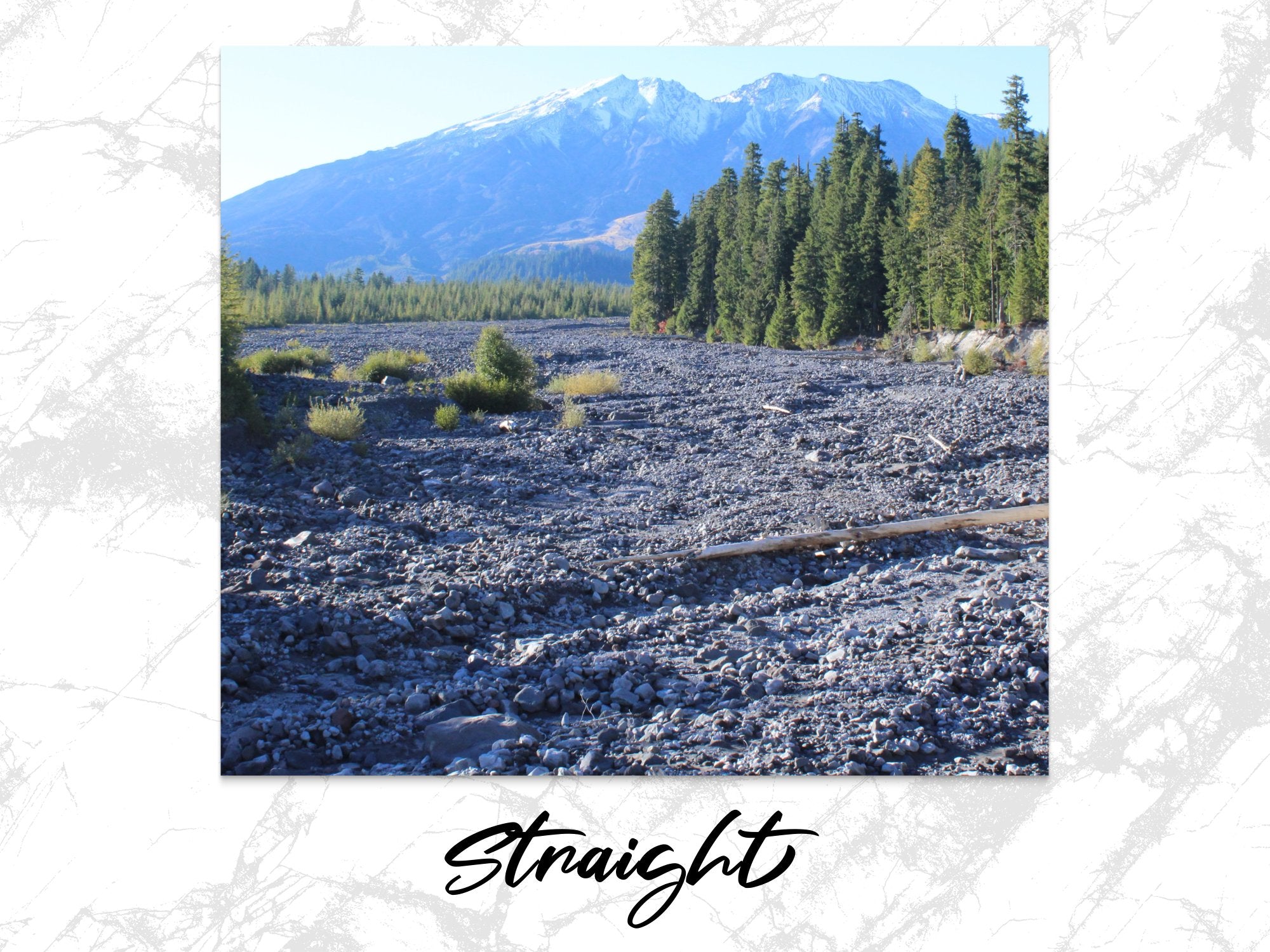 23562d12-8685-41e2-b288-f5a633ddfa41