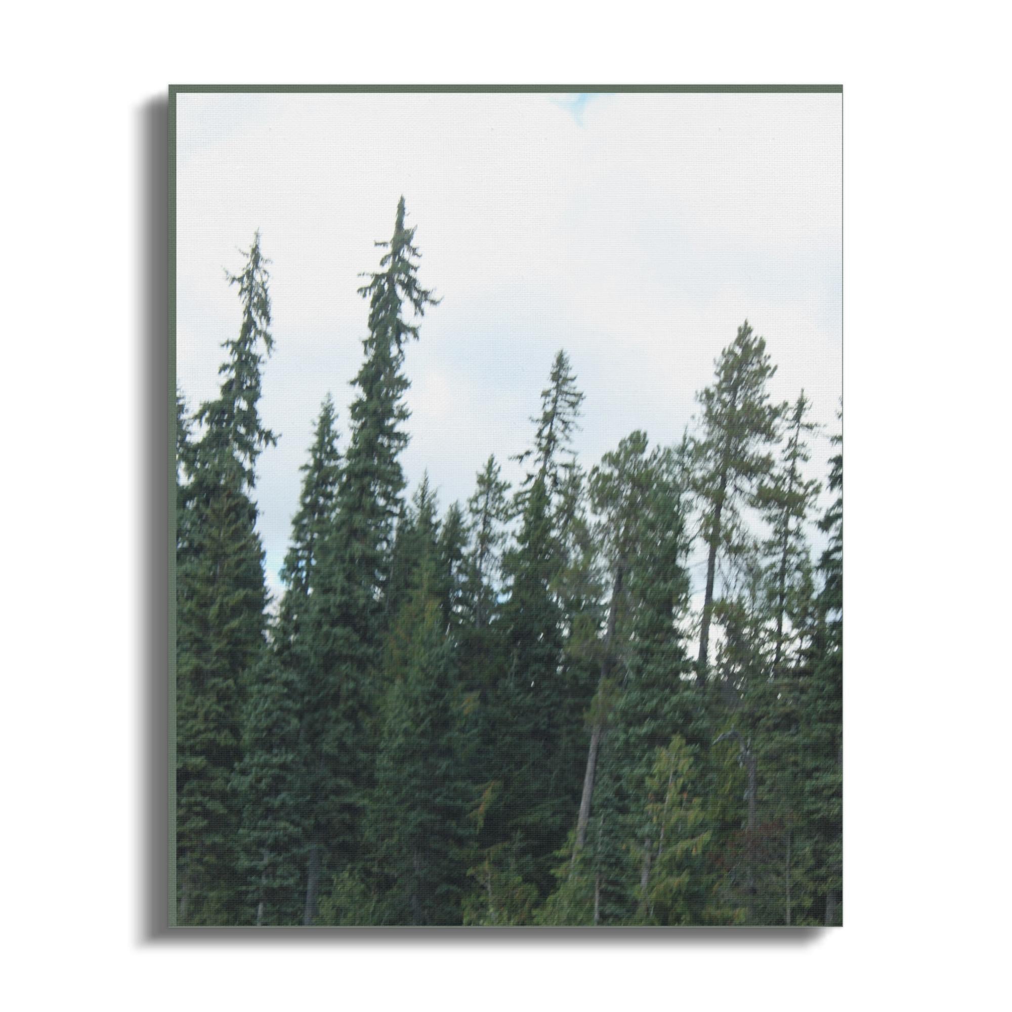 23ca53bb-dead-4a15-9c1e-57a8e1493bee