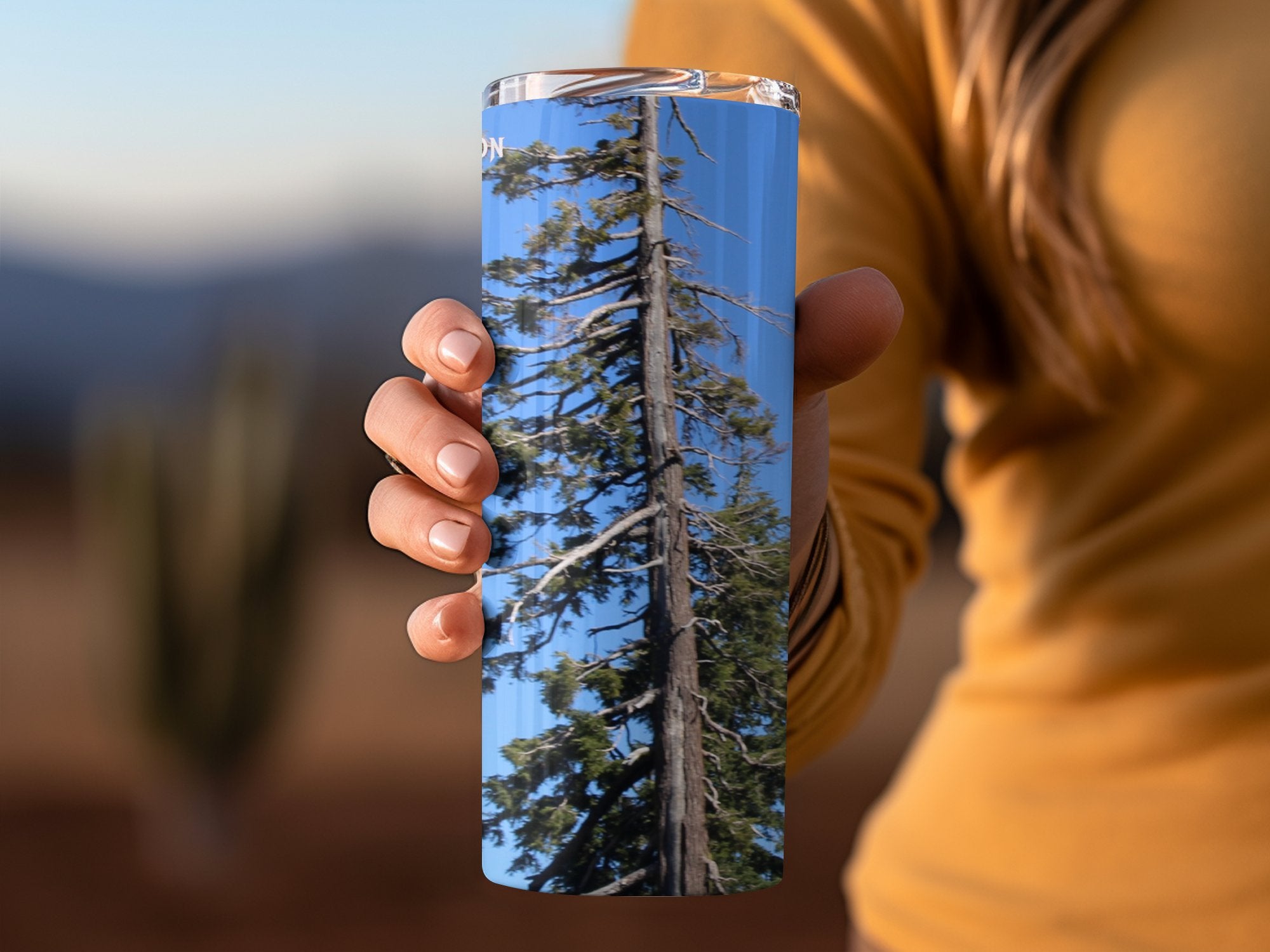 2403348a-c252-438b-8264-b890c7255f23