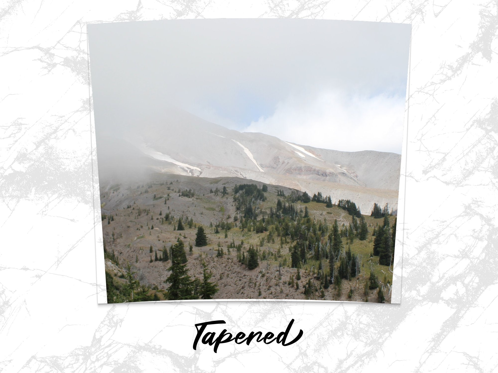 2407183b-7527-43f1-88f0-68f1329d31ba