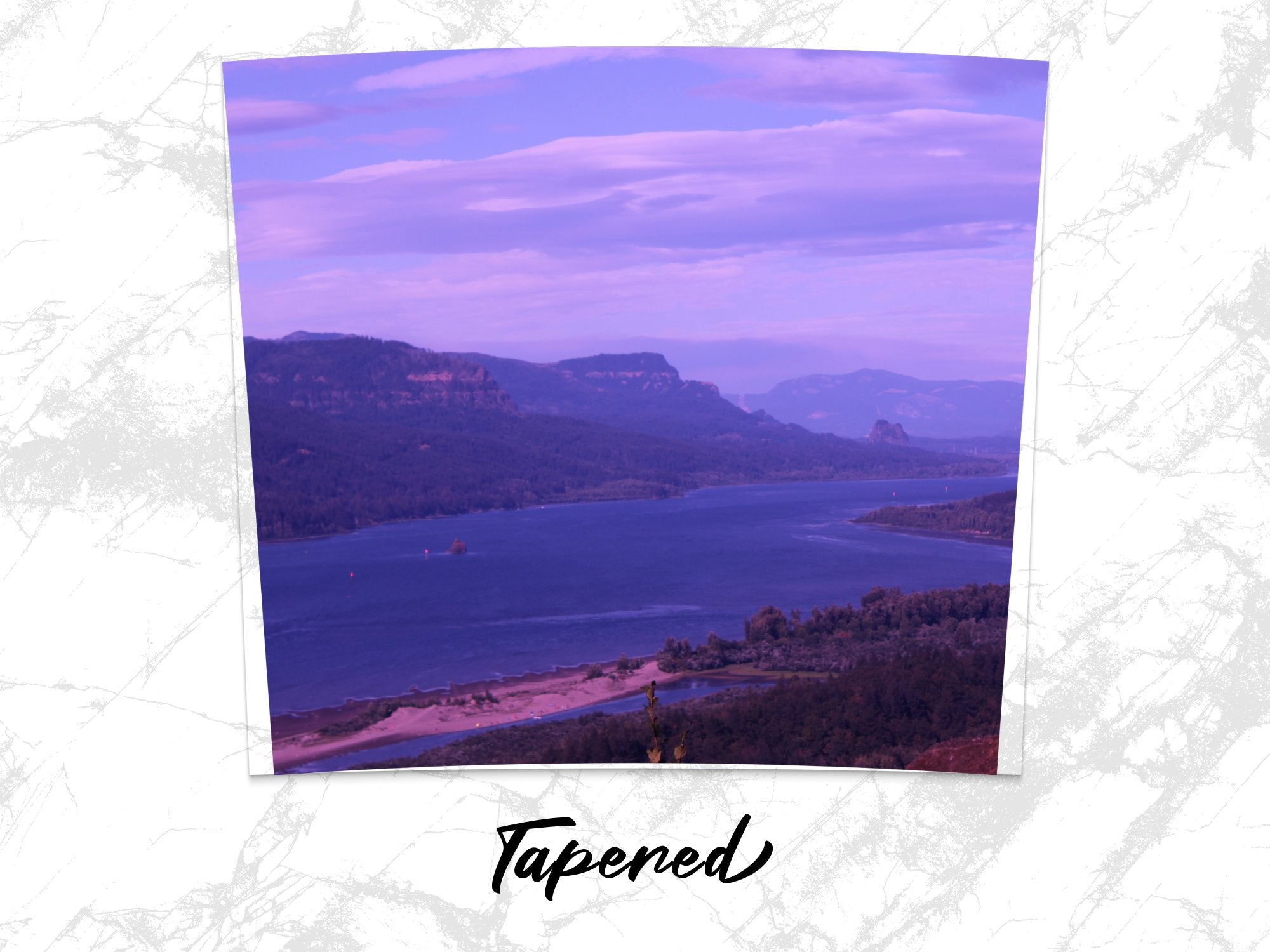 241a9f51-22e5-40e9-b2d9-b47285e7e49f