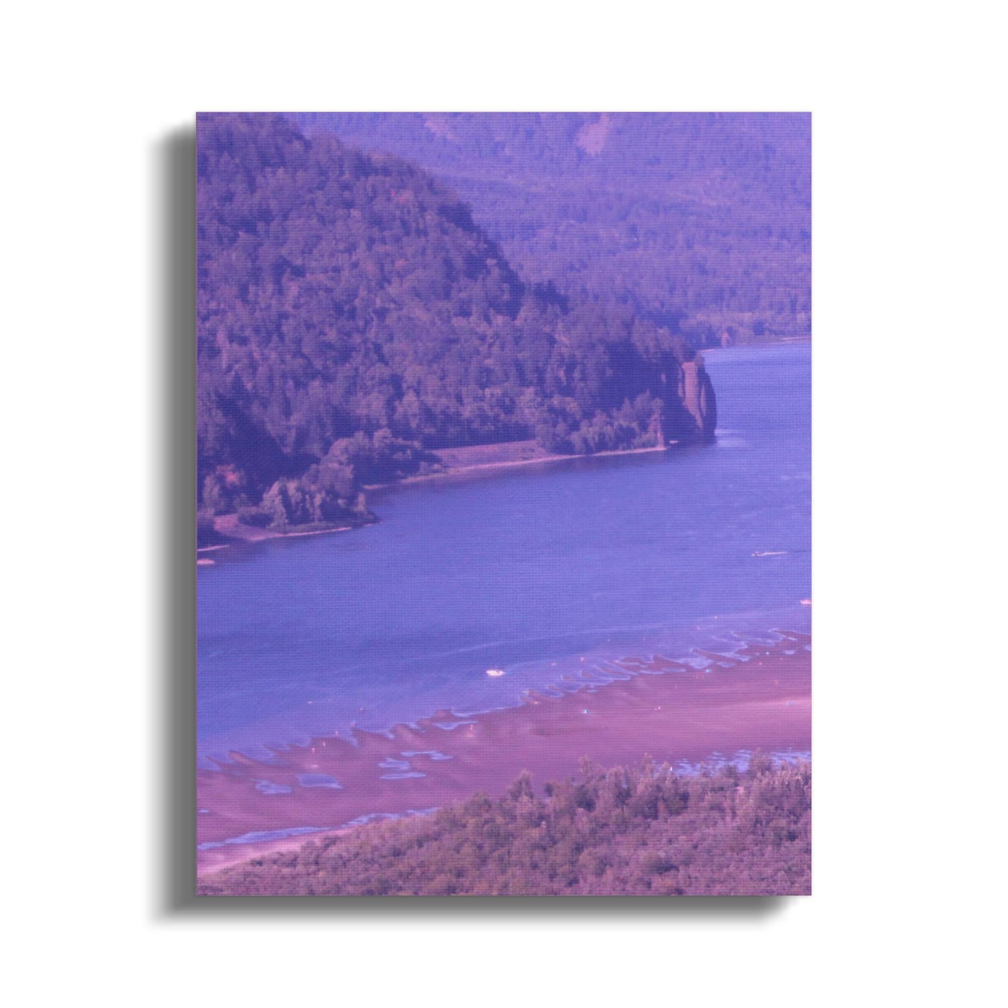 Landscape  Canvas Print