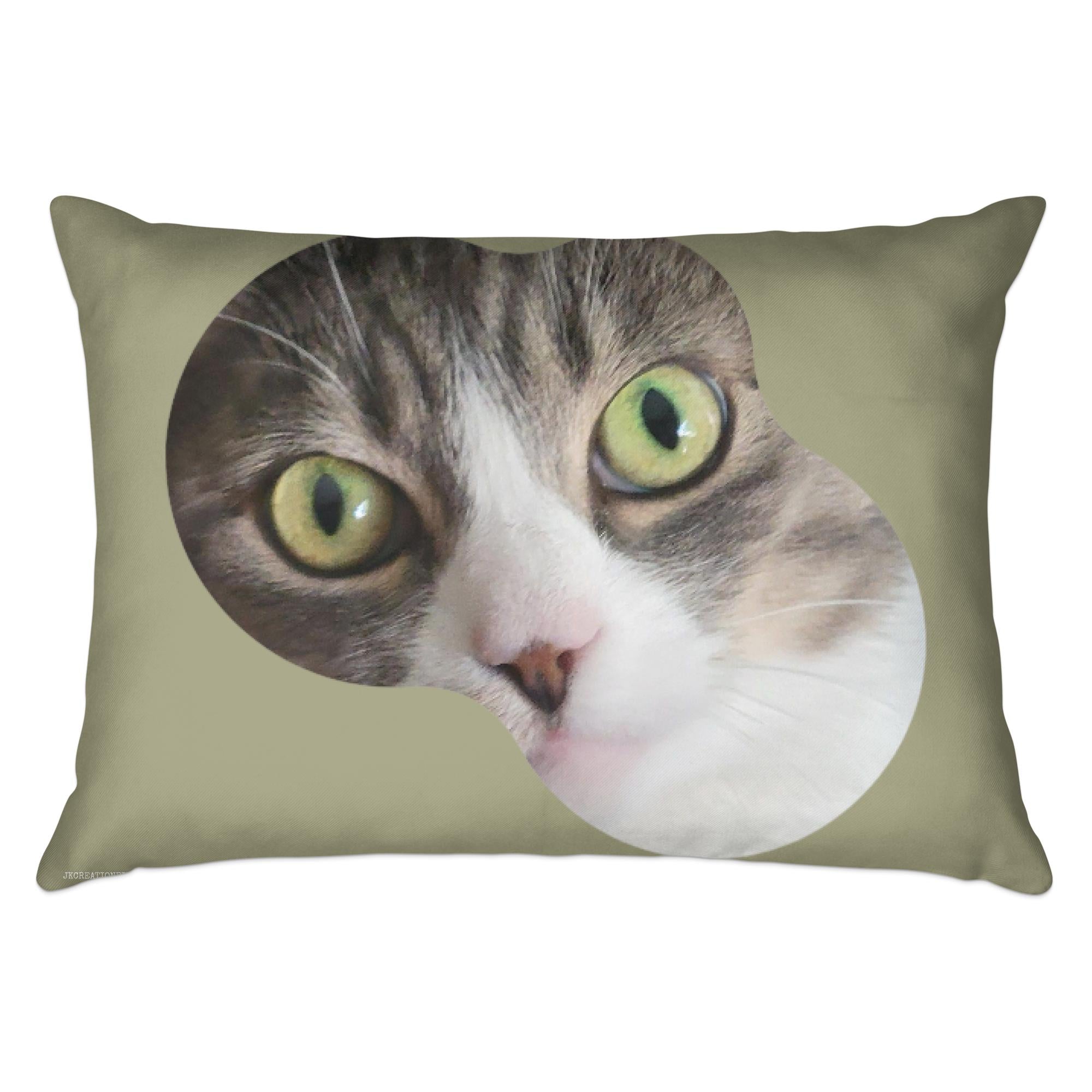 249aa4da-84ff-4170-8f80-1c082b5ae8e2