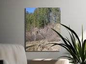 24acbc00-9298-4711-87ae-64ca57720d66