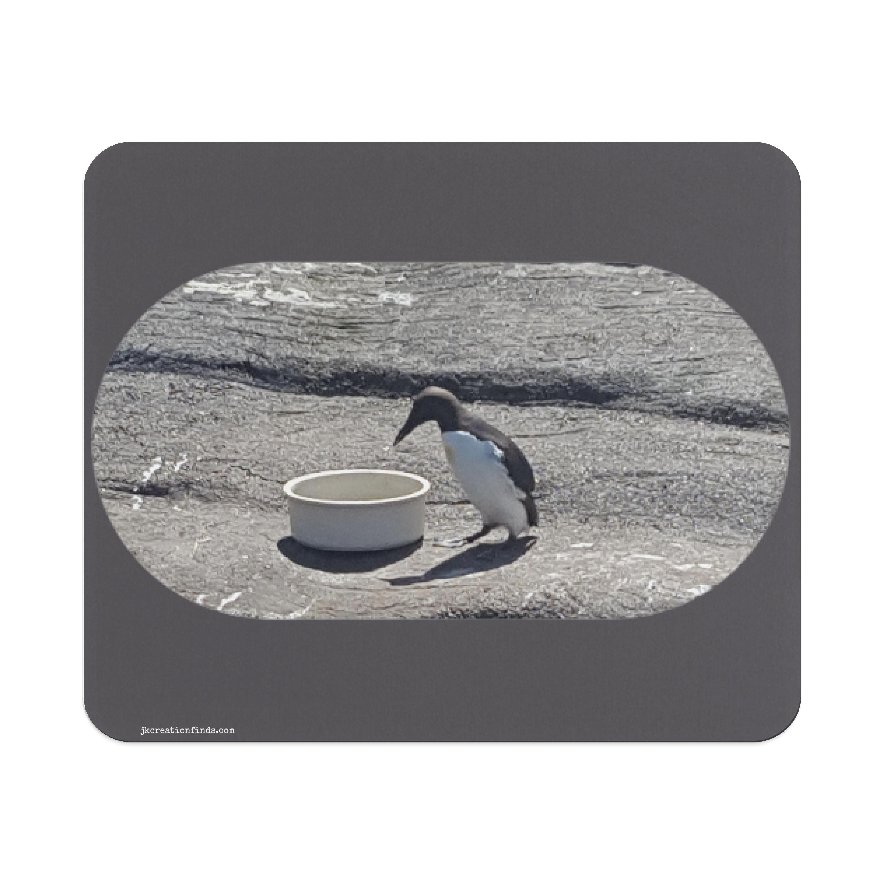 24c81d28-96aa-4ccc-a265-c21f72e46a64