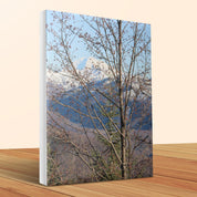 250406cb-7619-466c-9081-0047f512665f