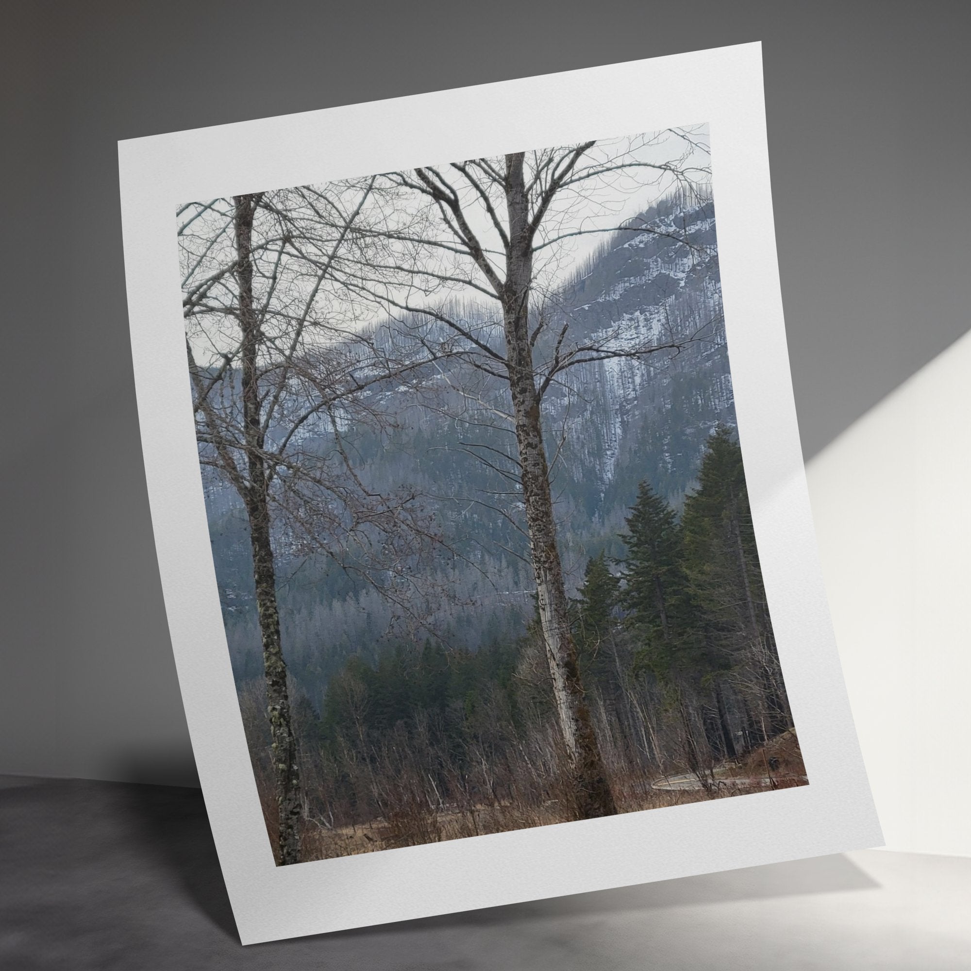 25373890-f7ca-4cf5-9b8a-1f96a5681ee2