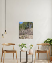 2628ee9a-0bc0-47bc-a24e-d4ec543484f3