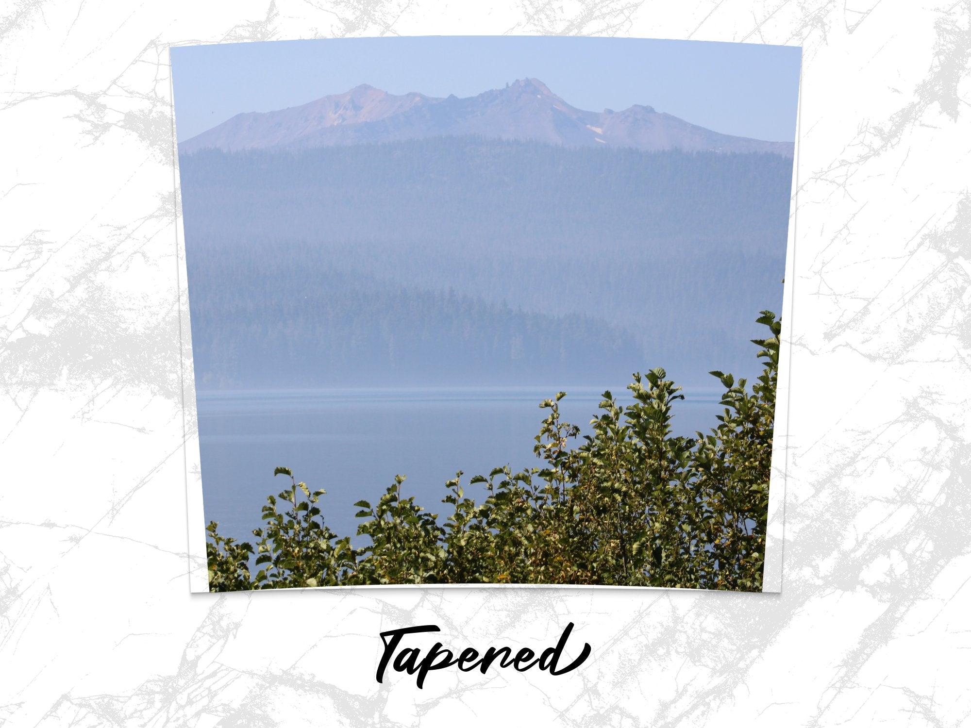 2646f963-6723-46c6-a849-52f1c2933ccc