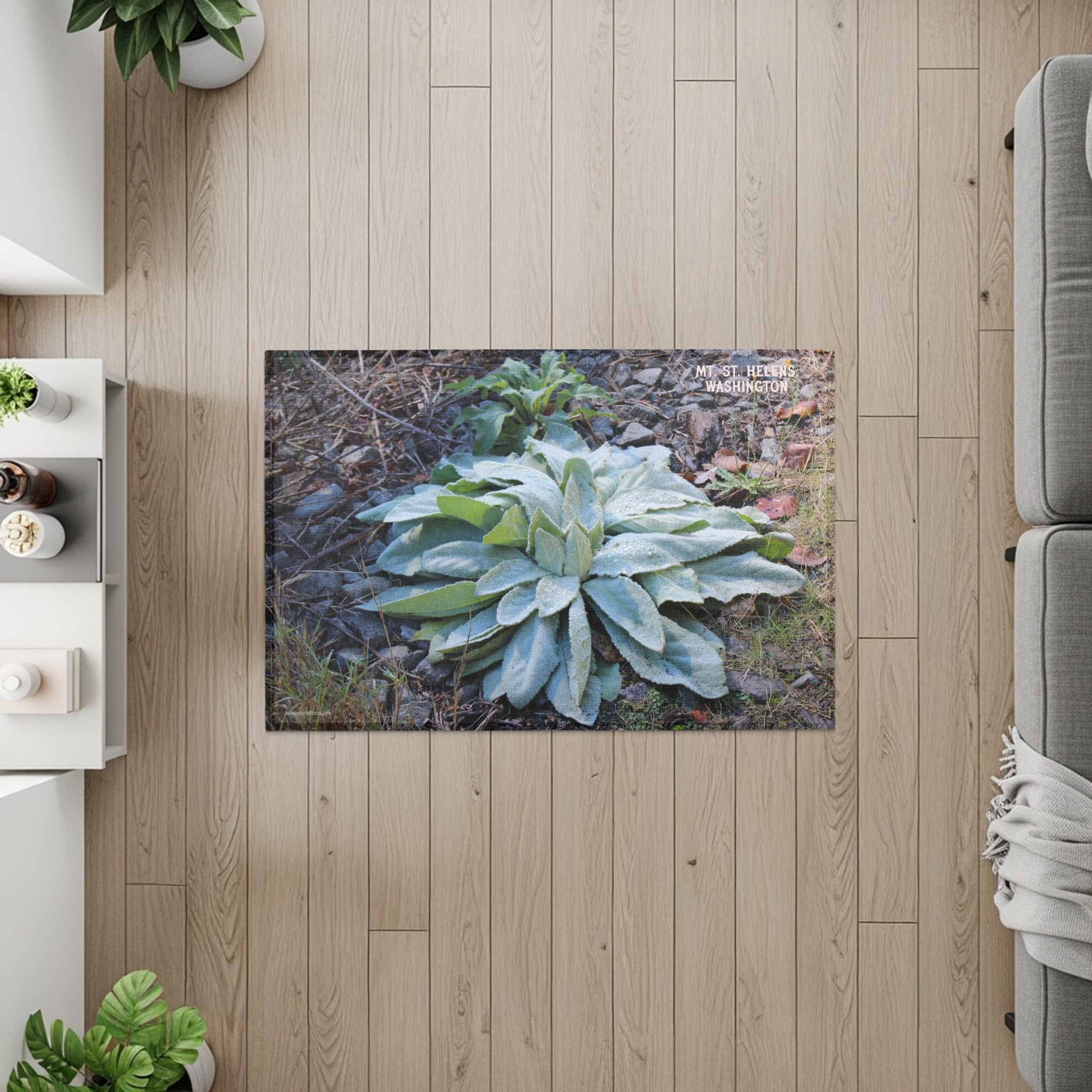 Mullein Plant Nature Photography Accent Rug product