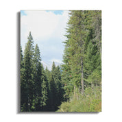 26e33ca0-5e68-4c10-8662-e926af7140b1