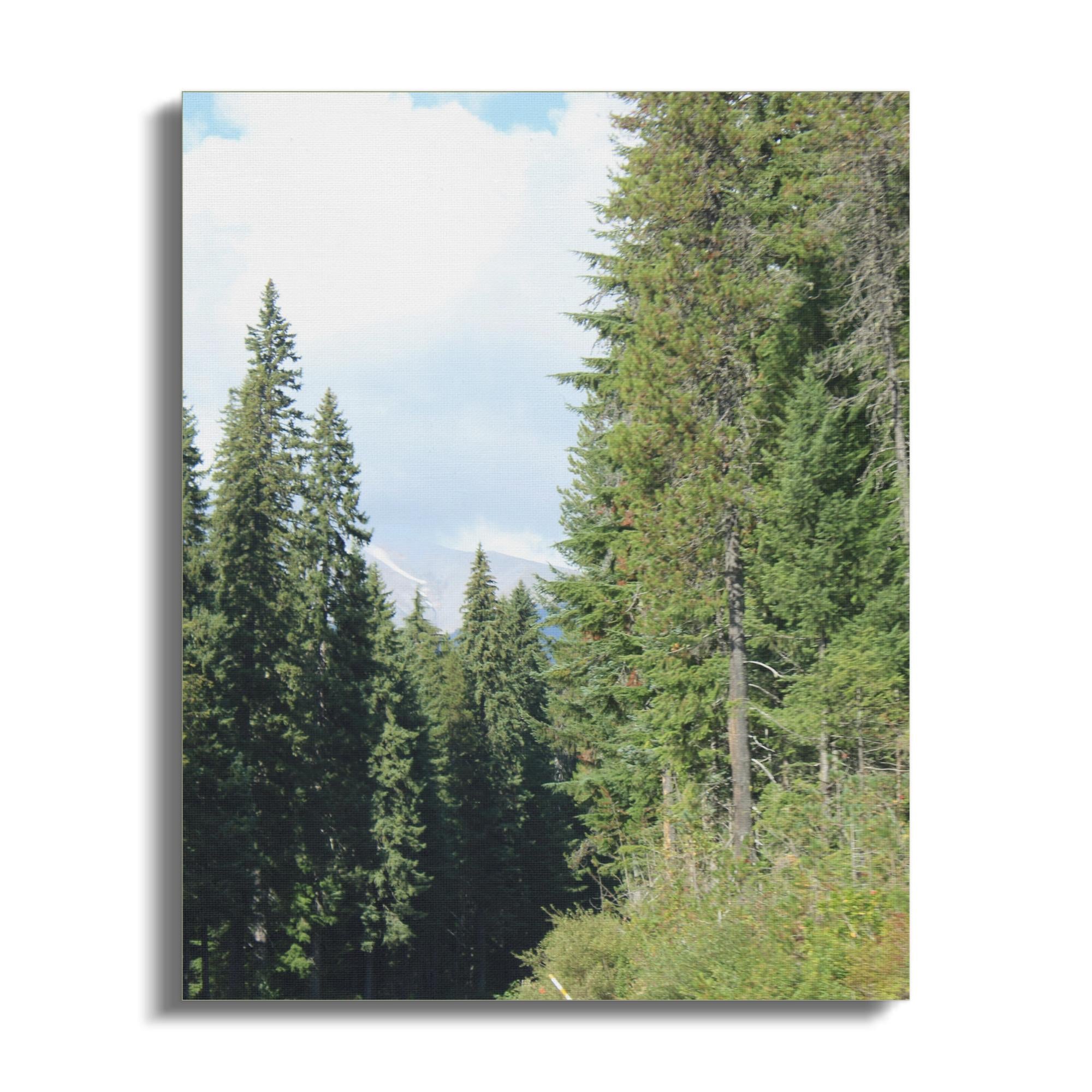 26e33ca0-5e68-4c10-8662-e926af7140b1