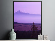 270494ce-bdc7-49d8-a472-0d6b7ce3fa8d