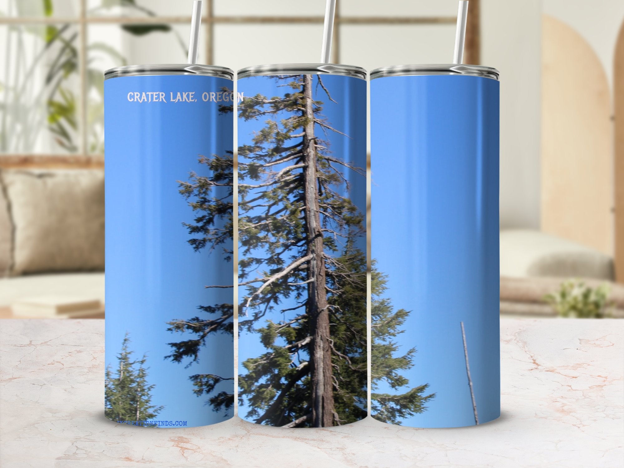 270a7c3c-e3af-4681-b81c-0d7f81d5ef78