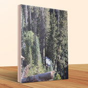 271530d1-b108-47d9-adde-eb6d74127345