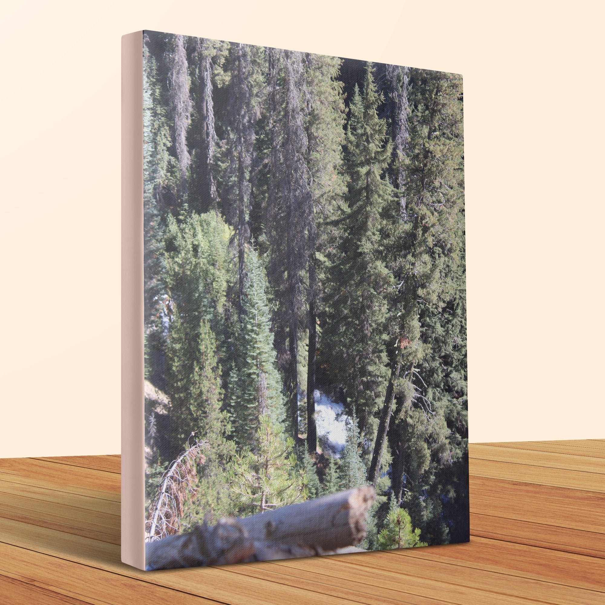 271530d1-b108-47d9-adde-eb6d74127345