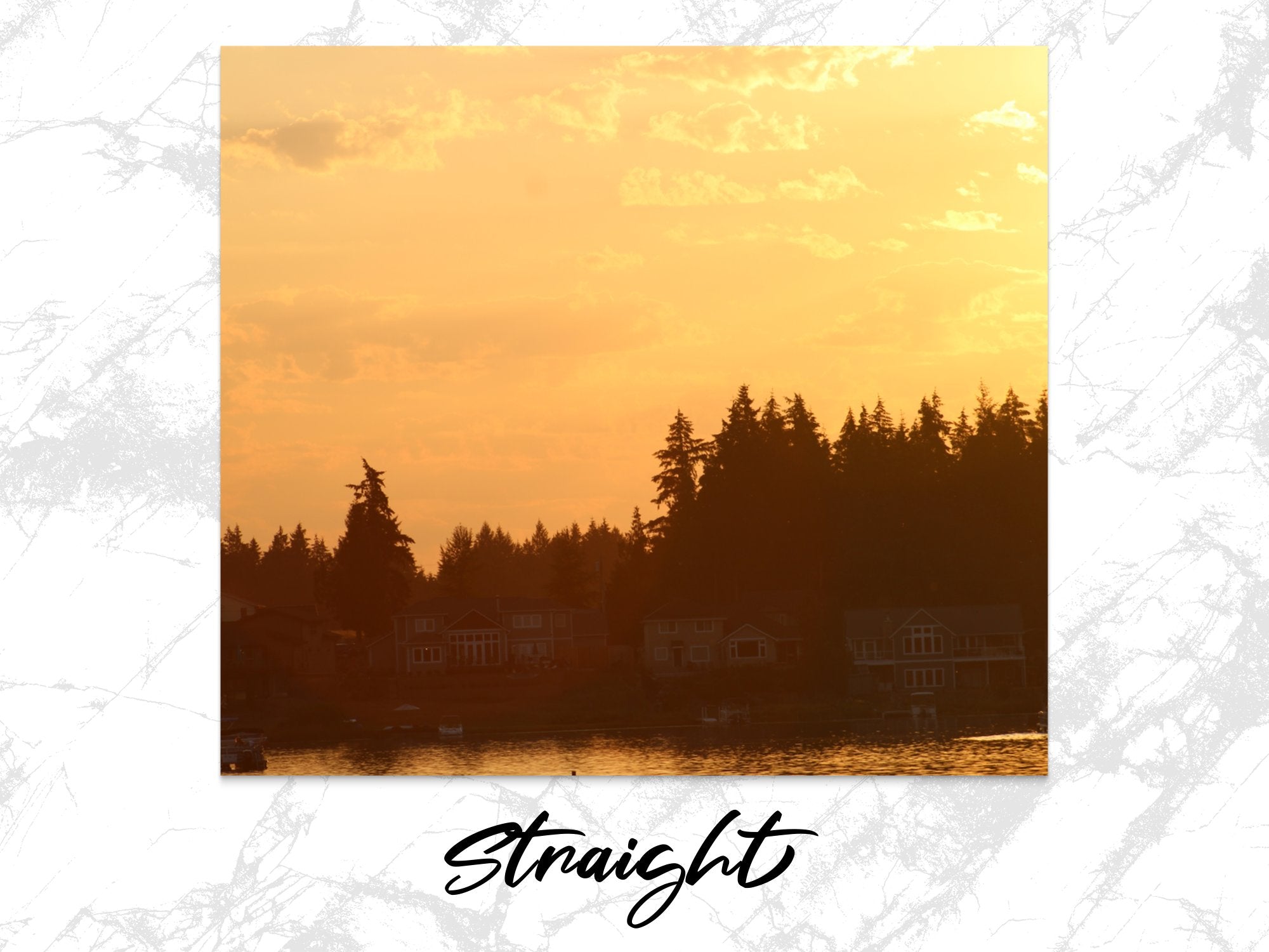 2750346f-a0b6-4648-92d4-aaf791bfcfa3