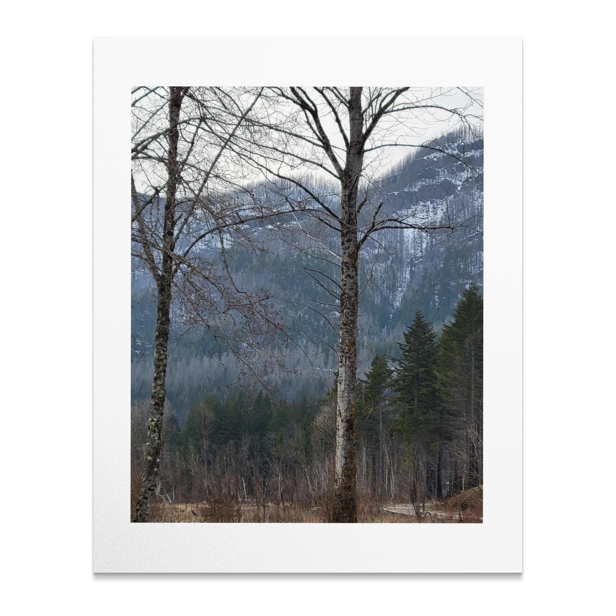 2783c6ff-c7a0-4e43-9375-b5080a57ab48