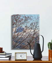 28a2b6c2-49e5-4e95-b6ec-01219633b1ec