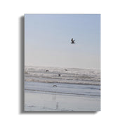 29be618d-ae2b-4e73-9afe-f0d42aa9d8de