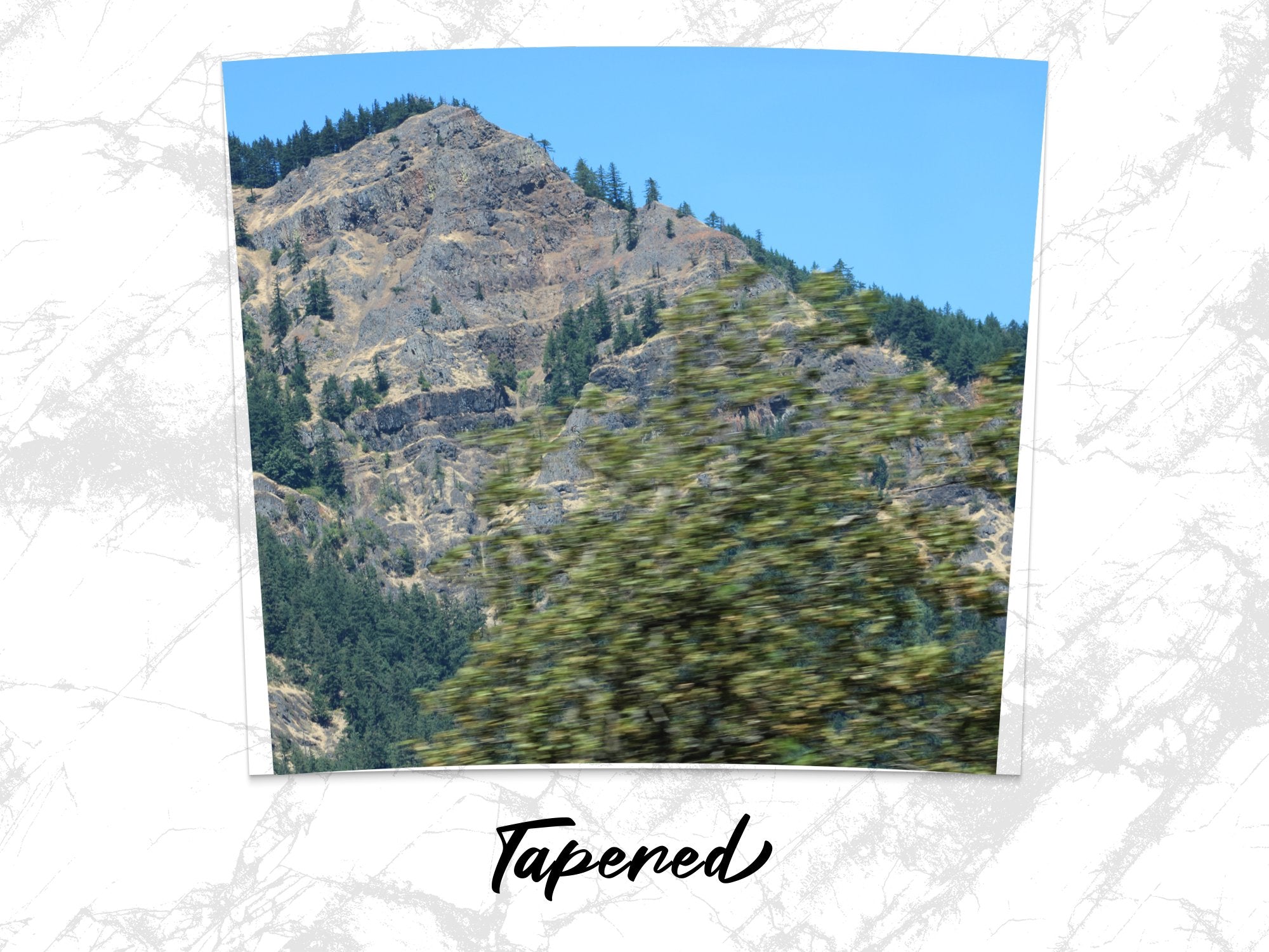 2a24dacb-e89f-4b7f-b37f-a1ea0d4eb84e