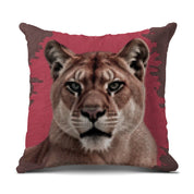 2c1d4d1f-c41e-45fe-8900-863d9d512a0c