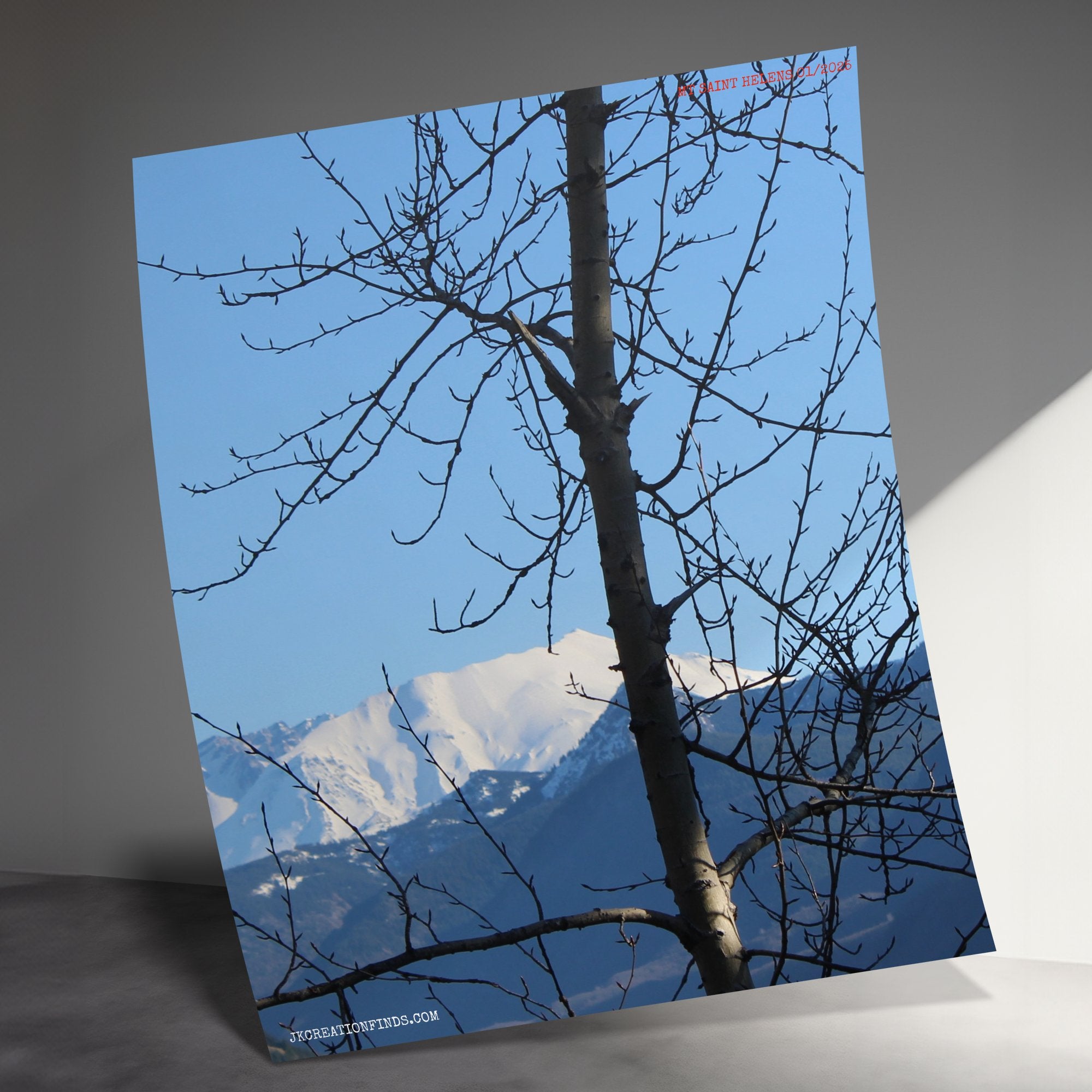 2c621073-baa1-49f3-9c84-f5e310405373