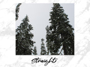 2cbbb40e-1ec2-498a-ae1d-f50342615497