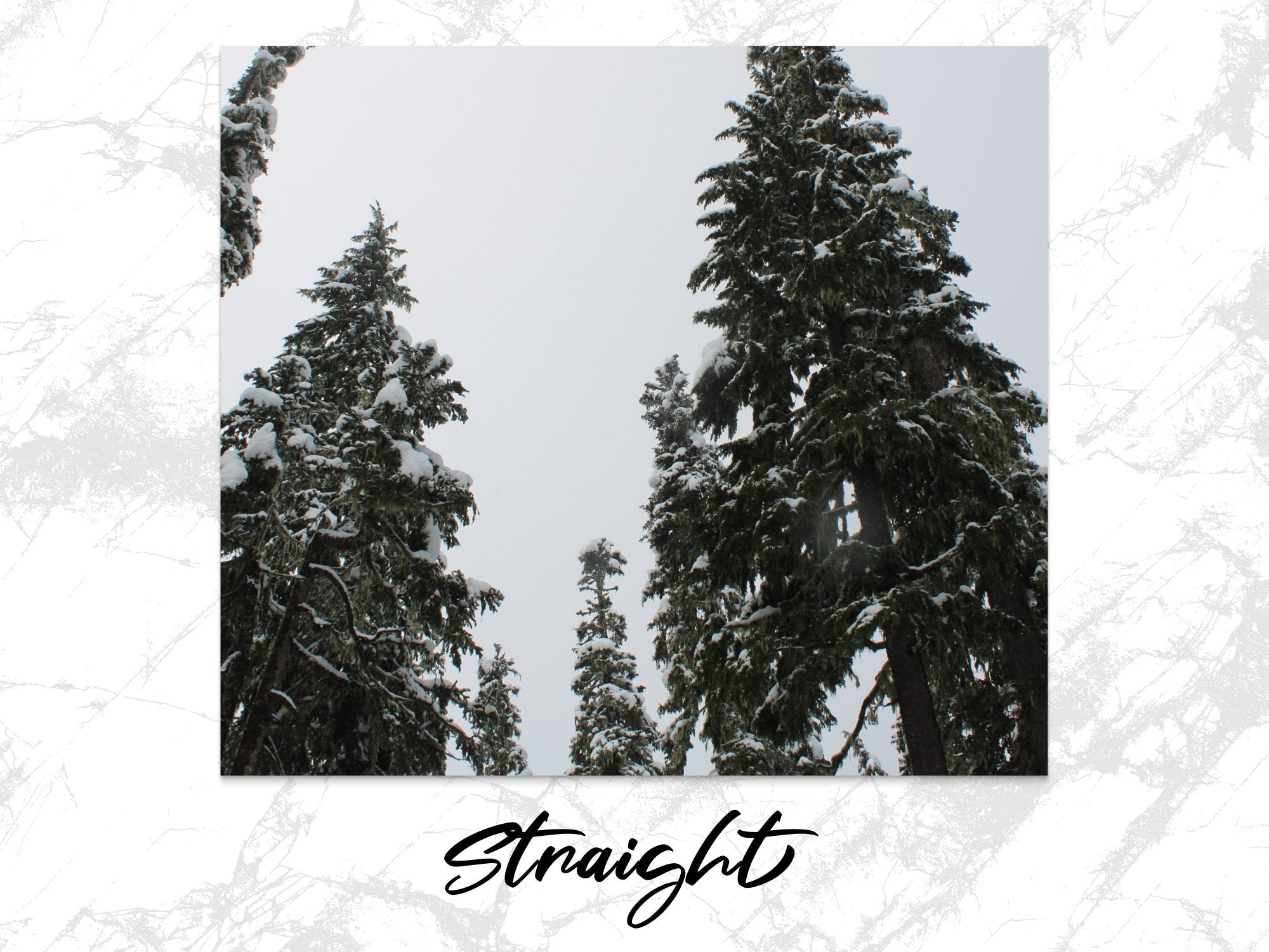 2cbbb40e-1ec2-498a-ae1d-f50342615497