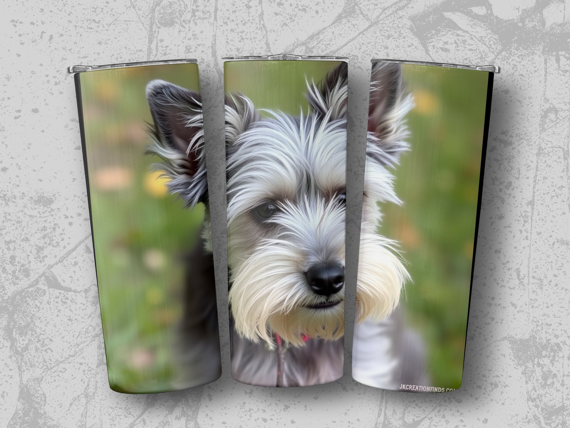 2cf1fce5-be0a-404b-96be-1cfeadfa563f