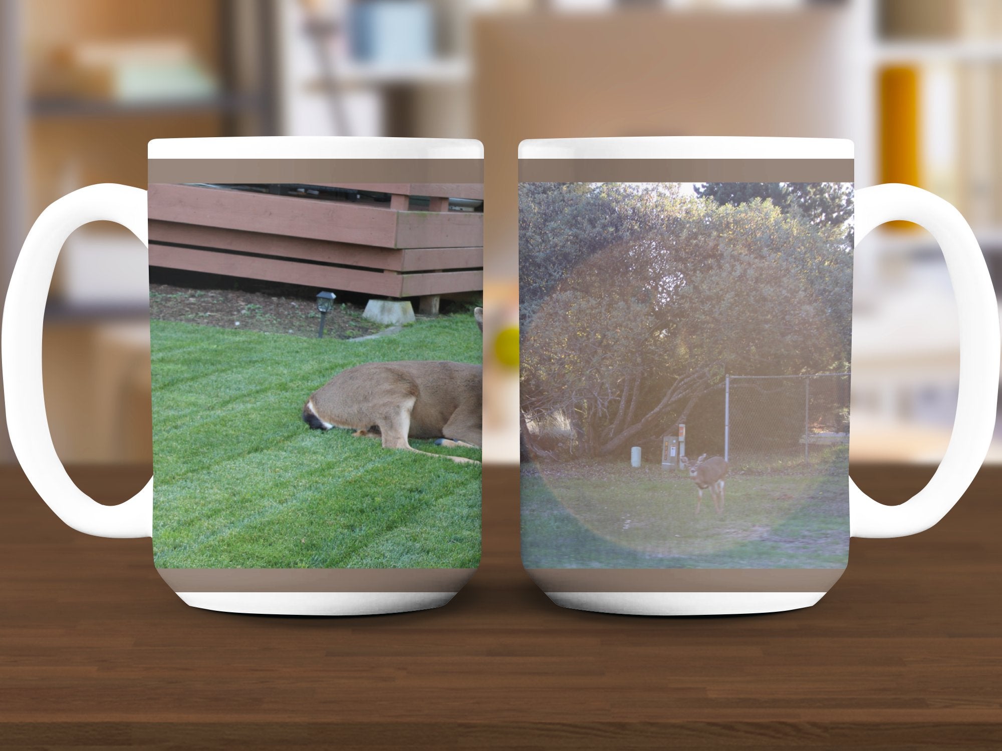 2d13694c-fb15-4ca9-8721-e2472fc7344a