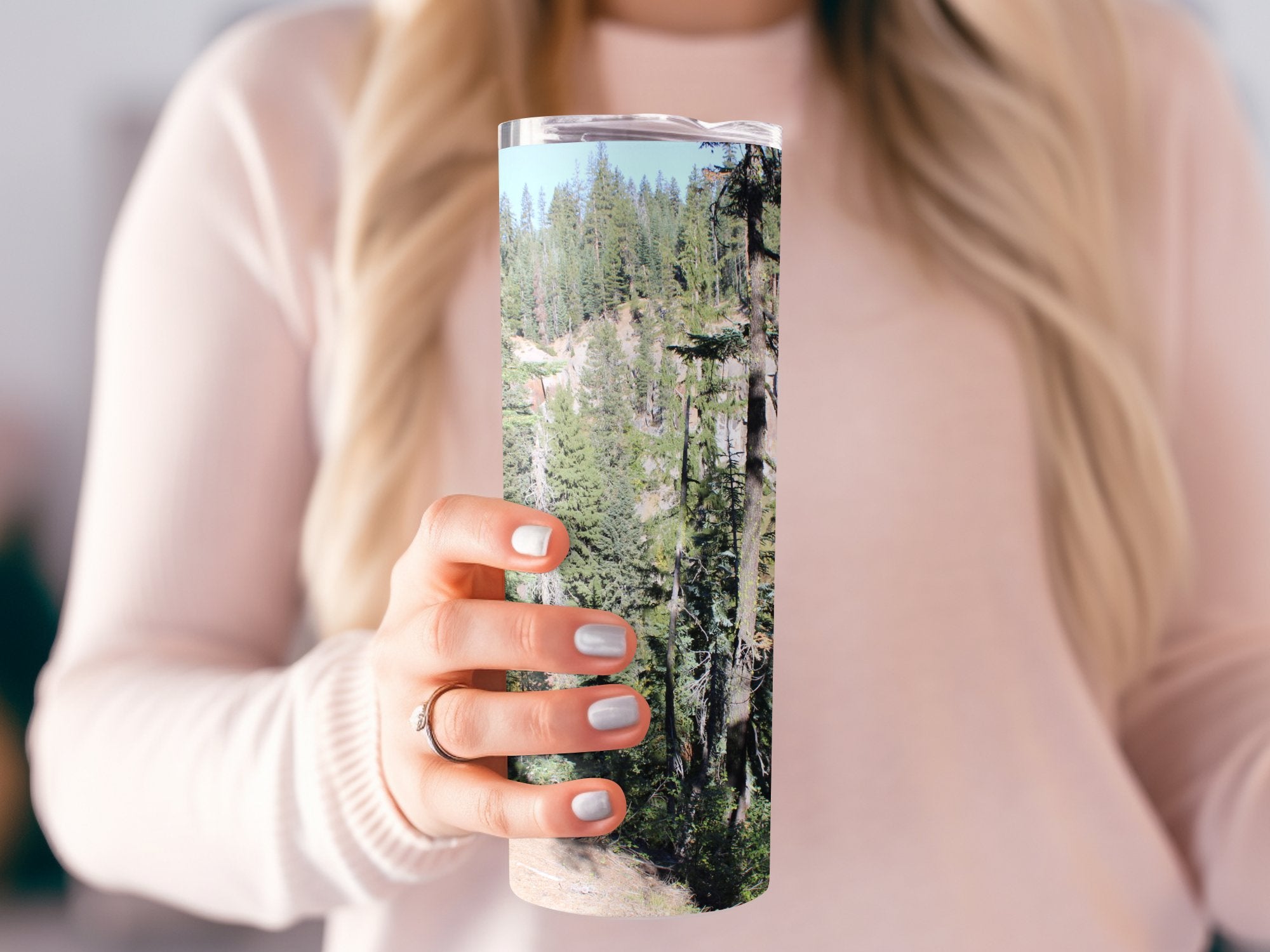 2da180f2-e9b7-4355-a4eb-cafa6161f2e8