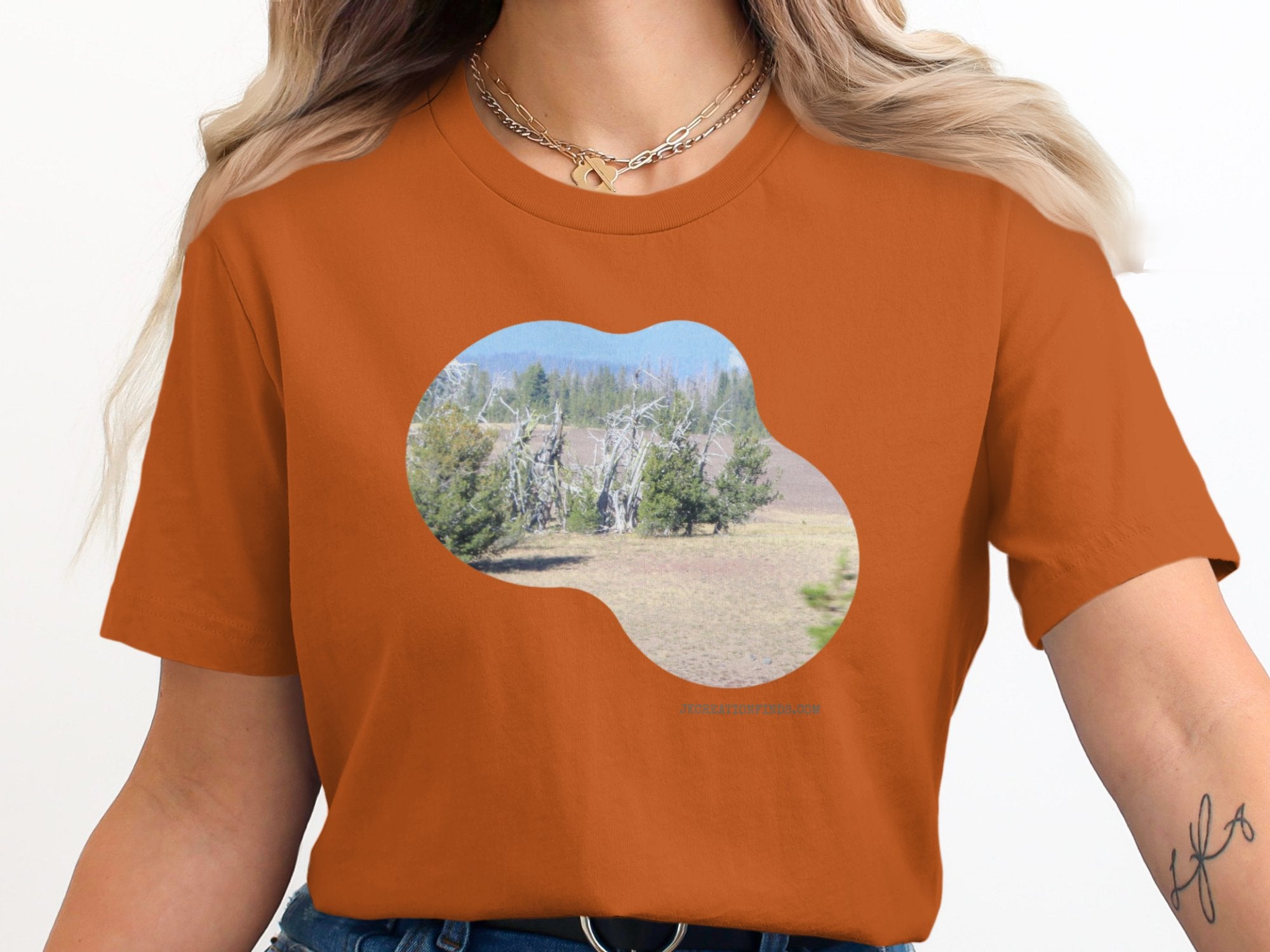 2daa70e1-634b-4173-a26c-7e7dfb07555d