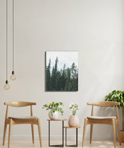 2de9daa7-2278-446c-9791-0c387c9a9b65