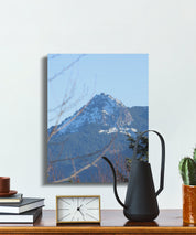 2e1e0015-3d65-40cd-806e-bd61f5844a9d