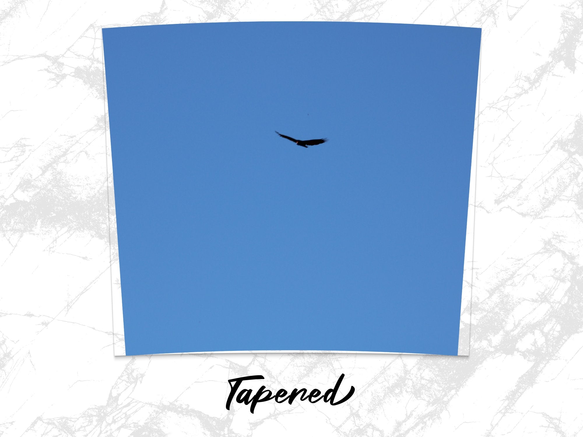 2e2af626-5f77-4261-886c-0fb7261b670e