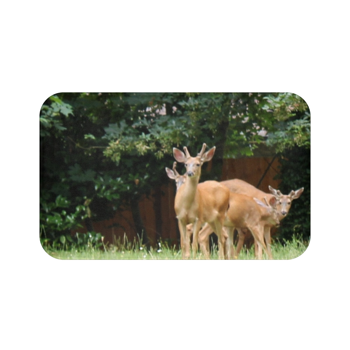 Elegant Deer Family in Forest Scene Poster