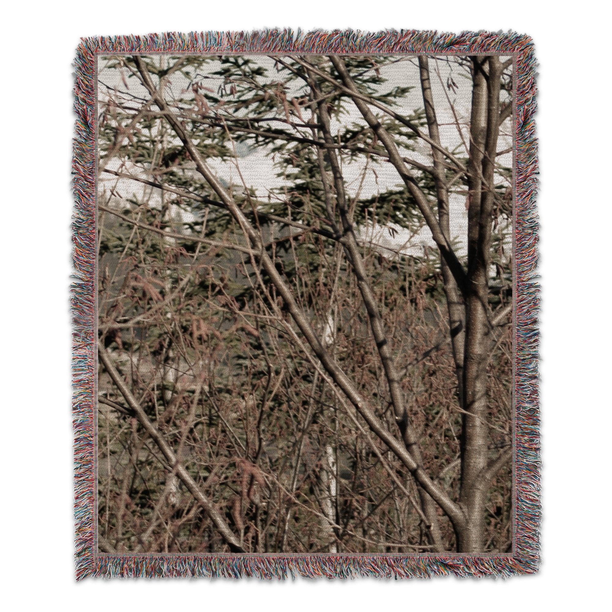 2ea7e583-27bd-451f-923c-c08c5591aa85