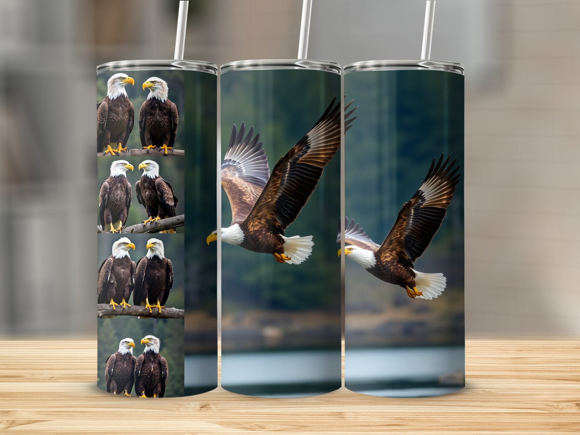 2eb7d2b7-1c4b-4517-ab8d-fcce04e5f558