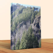 2f265170-f88c-4427-803a-25faf21b9d9b