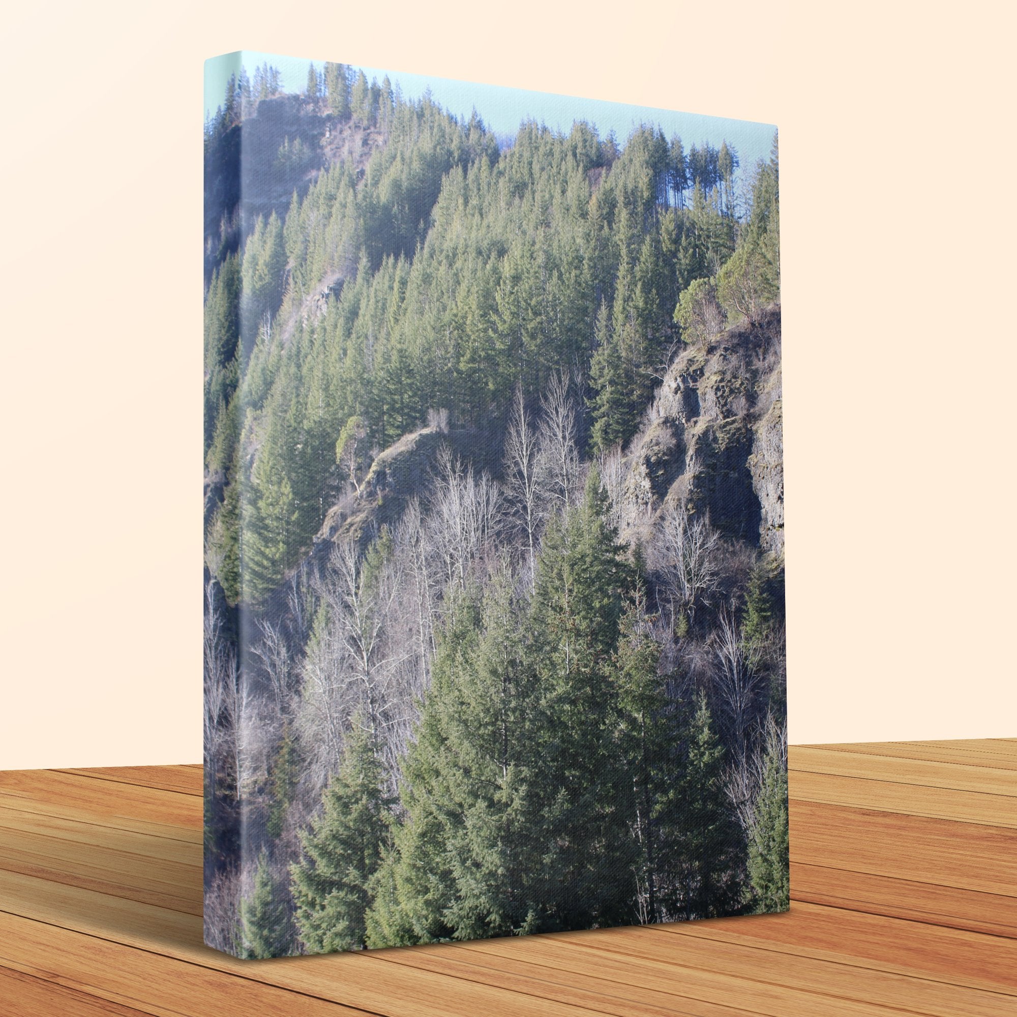 2f265170-f88c-4427-803a-25faf21b9d9b