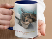 2f799dcd-08d1-4756-8750-0e320376e46d