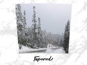 2fa7c403-5357-4888-a64a-d2cc413e2c1b