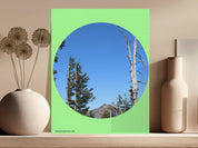 301ac869-65ce-4a78-957d-84cfaeea301f