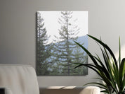 30cc00d1-71fa-4e4a-8a12-3307f377404a